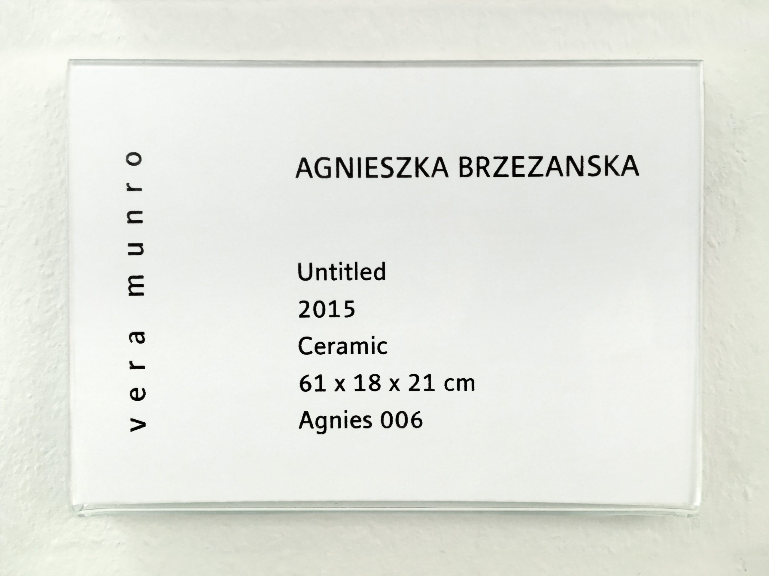 Agnieszka Brzezanska