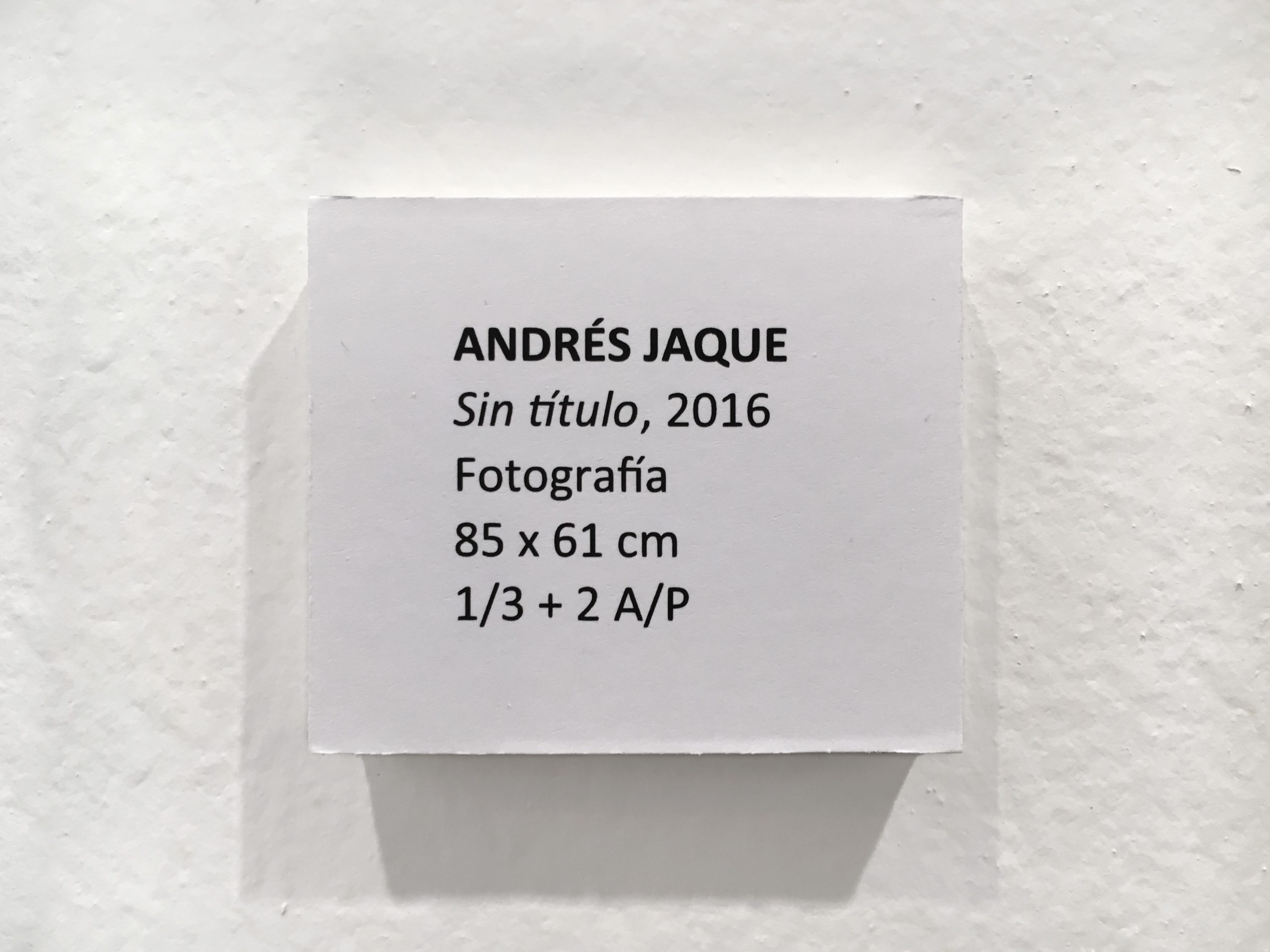 Andrés Jaque