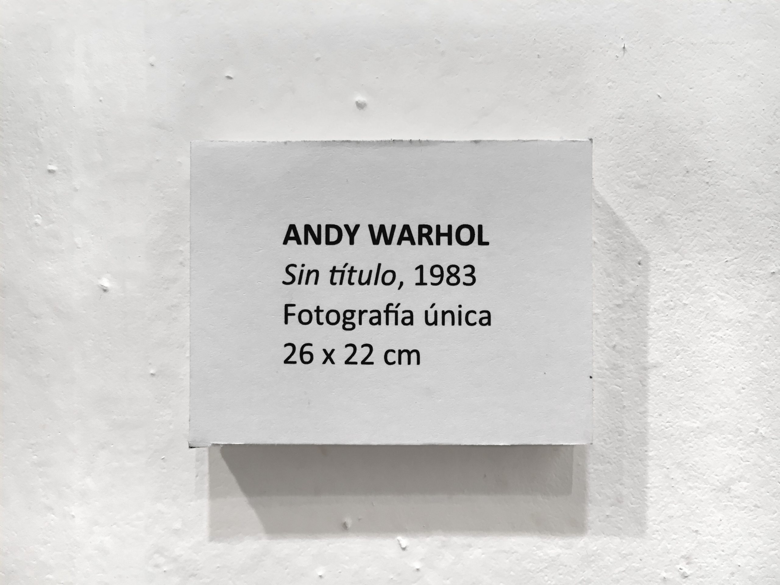 Andy Warhol