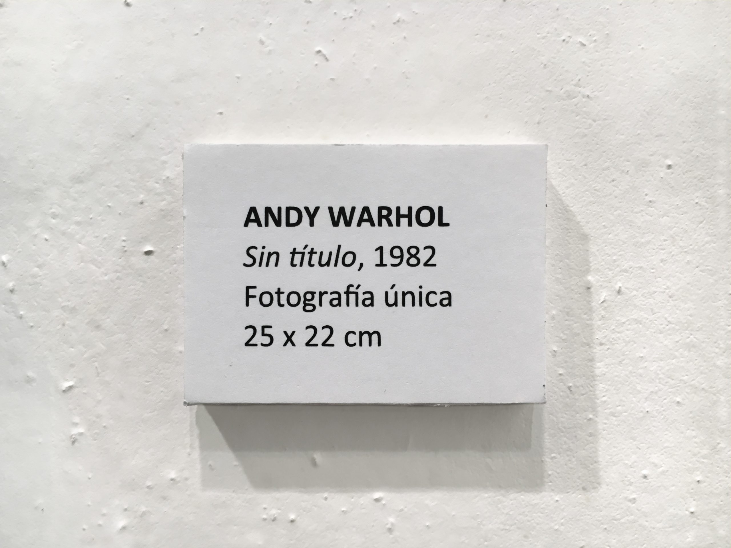 Andy Warhol1