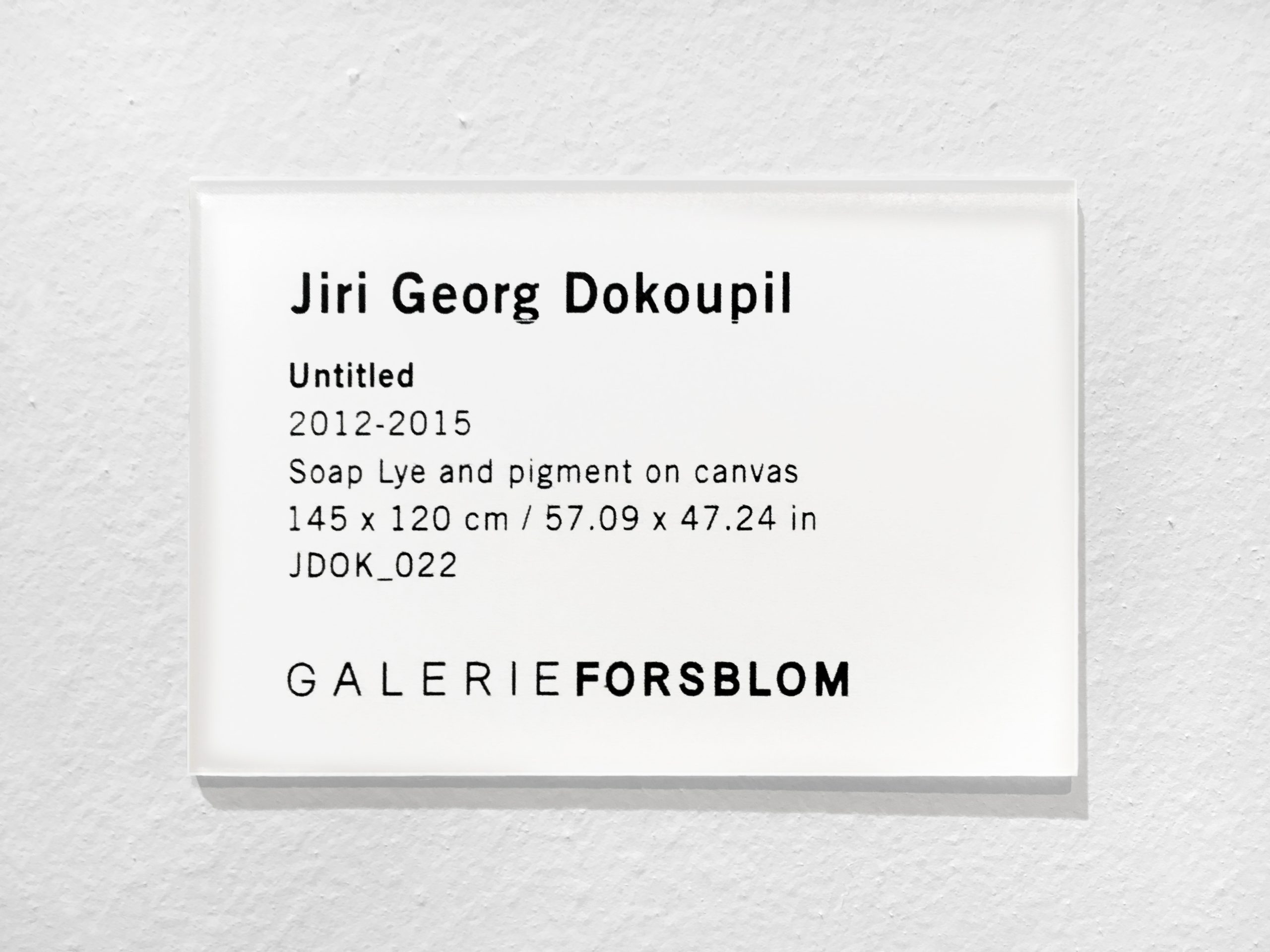 Jiri Georg Dokoupil